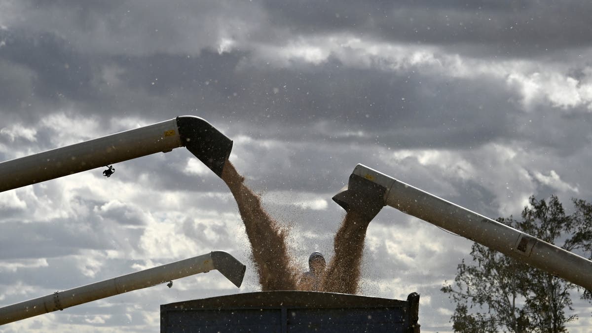 رويترز: روسيا تستأنف تدريجياً صادرات القمح من موانئها على البحر الأسود