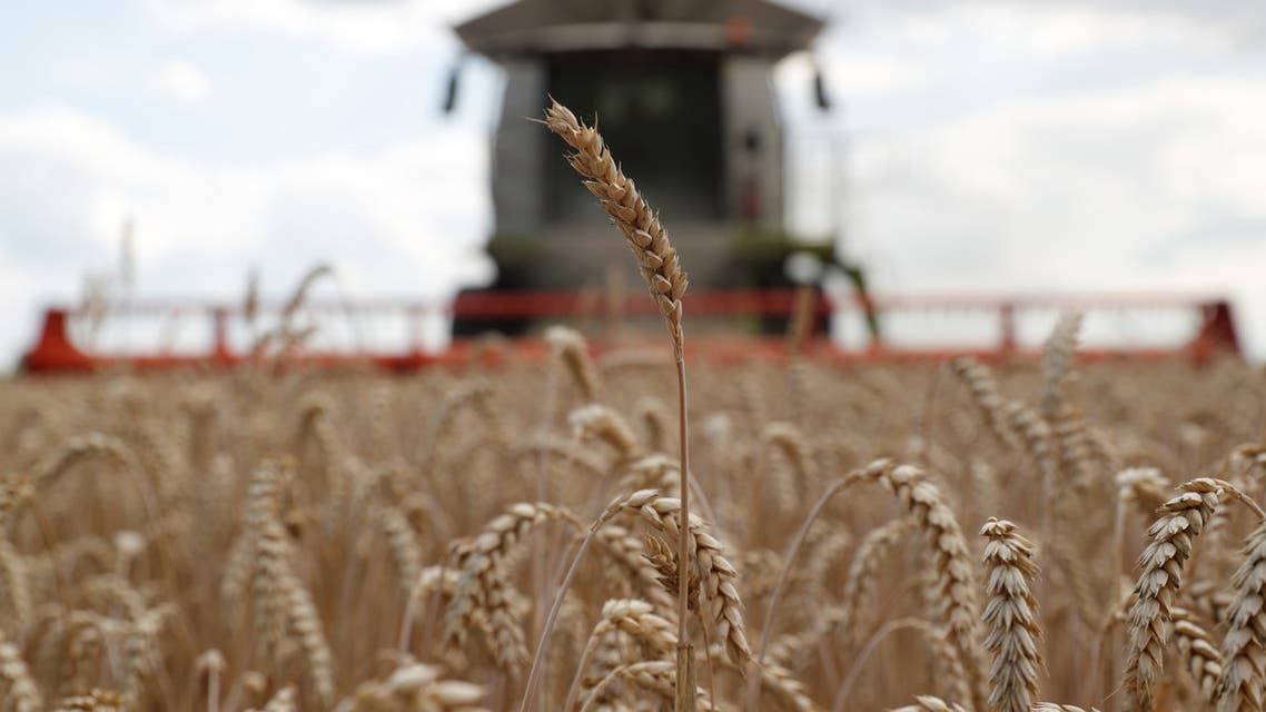 A combine harvests wheat in a field near the village of Hrebeni in Kyiv region, Ukraine July 17, 2020. Picture taken July 17, 2020. REUTERS/Valentyn Ogirenko