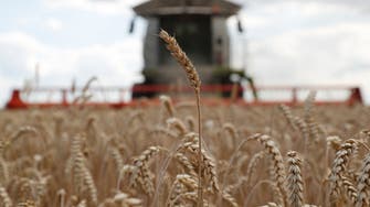 Ukraine March grain exports fall sharply vs Feb: Economy ministry