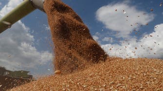Ukraine expects harvest of at least 50 mln tonnes of grain this year, official says