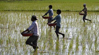 India aims for $17 billion cut in food, fertilizer subsidies in 2023: Report