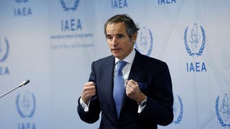 IAEA chief Grossi seeks release of Ukraine nuclear plant head Murashov