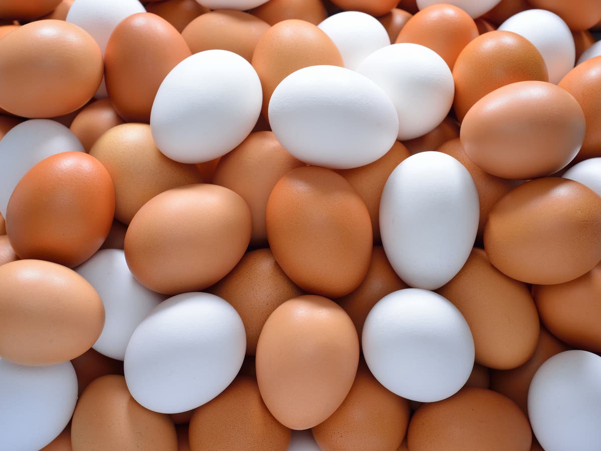 ما الفرق بين البيض الأبيض والبني؟.. جواب ولا أبسط