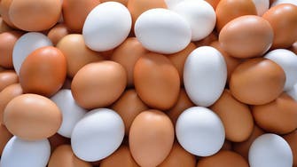 ما الفرق بين البيض الأبيض والبني؟.. جواب ولا أبسط