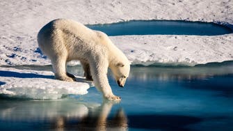 القطب الجنوبي يشهد حرارة أعلى بـ30 درجة من المعدل المعتاد