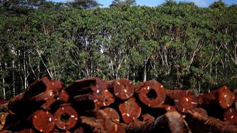 Brazil sets new six-month Amazon deforestation record 