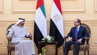 رایزنی و هماهنگی مصر و امارات در دفاع از امنیت عربی