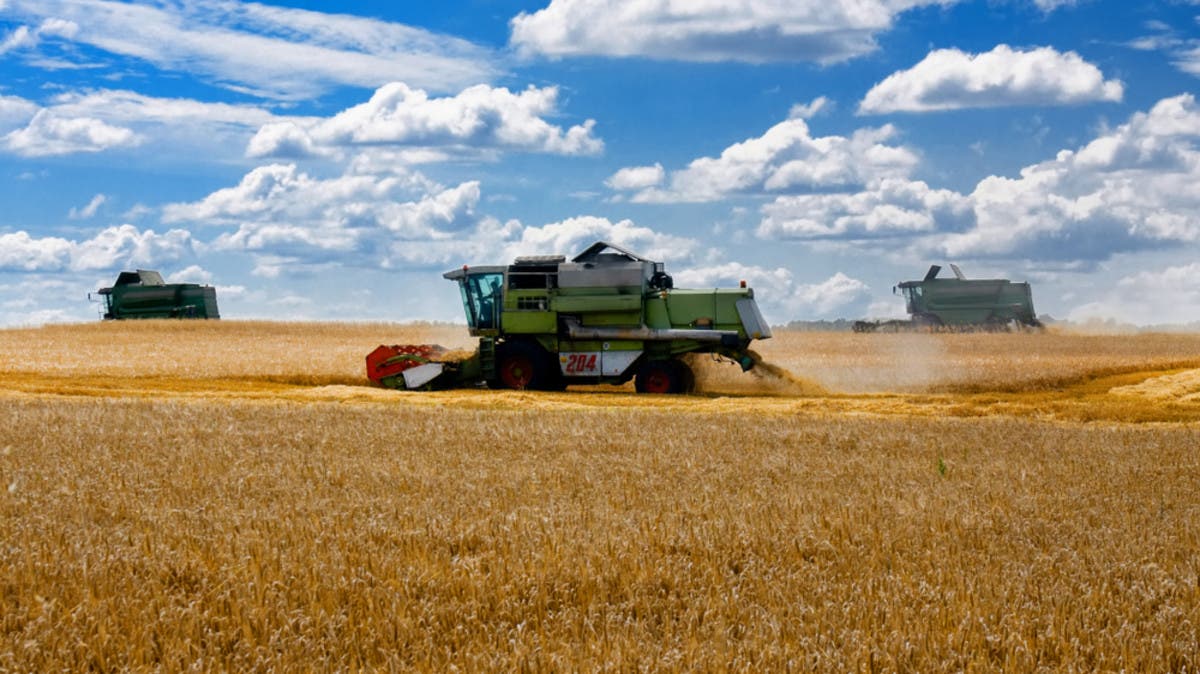 أوكرانيا تنتهي من زراعة 76% من محاصيل الربيع بأقل 4 ملايين هكتار عن 2021