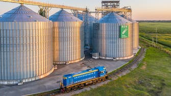 واشنطن: الصوامع على الحدود الأوكرانية ستبقي الحبوب بعيدة عن أيدي روسيا