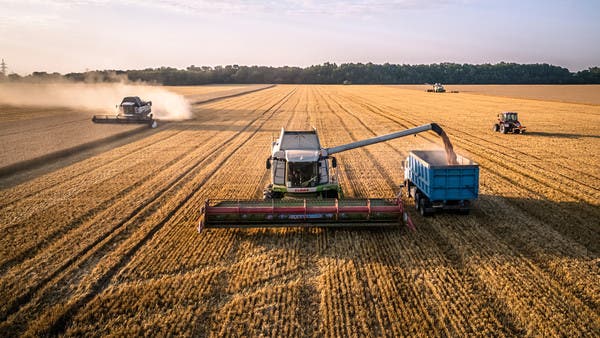 الان – روسيا ستواصل “الهيمنة” على تجارة القمح – البوكس نيوز