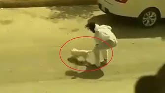 فيديو قاسٍ.. مطالبات بمحاسبة معذب الكلب في حي لبن بالرياض