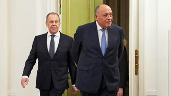 Egypt FM says Arab countries willing to mediate between Russia, Ukraine