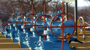 General view of the gas station near the border between Ukraine and Poland in the settlement of Drozdovychi, 120 km (75 miles) west of Lviv, January 12, 2009. (File photo: Reuters)