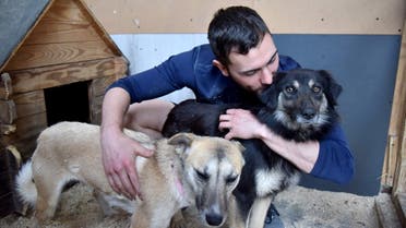 A volunteer interacts with dogs rescued from Borodyanka shelter, where, according to local volunteers, approximately 300 dogs died left without food and water amid Russia's invasion of Ukraine, at the Home of rescued animals shelter in Lviv, Ukraine, April 7, 2022. (File photo: Reuters)