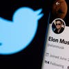 Musk: $44 billion Twitter deal should go ahead if it provides proof of real accounts