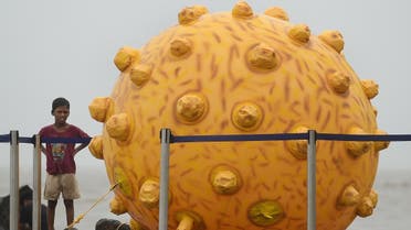 An Indian boy stands near a replica of the Hepatitis virus, a part of an awareness event in Mumbai on July 28, 2014. (File photo: AFP)