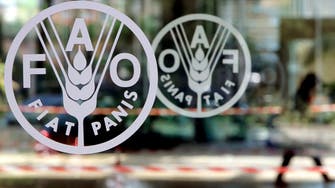 FAO launches initiative to help poorer nations as food prices surge amid Ukraine war