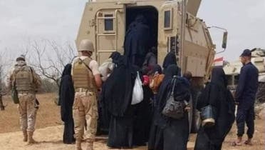 عمليات نقل نساء وأطفال عناصر داعش في سيناء