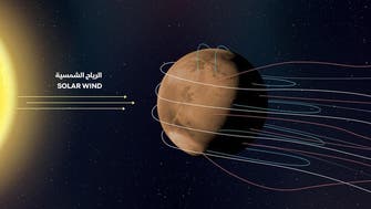 UAE Mars mission discovers new aurora on red planet, scientists share excitement