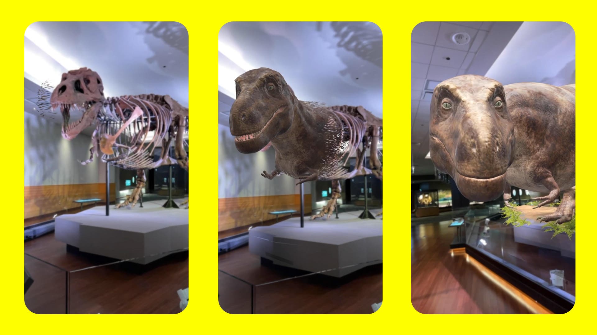 Snapchat: Field Museum Sue the Dinosaur Triptych.  (Supplied)