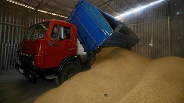 A driver unloads a truck at a grain store during barley harvesting in the village of Zhovtneve, Ukraine, on July 14, 2016. (File photo: Reuters)