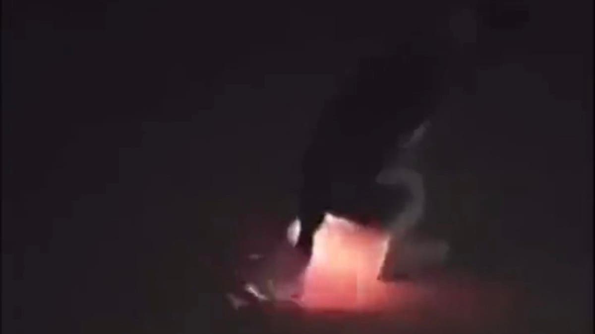 فيديو لحرق كلب بالسعودية يثير زوبعة.. ومطاردة الفاعل