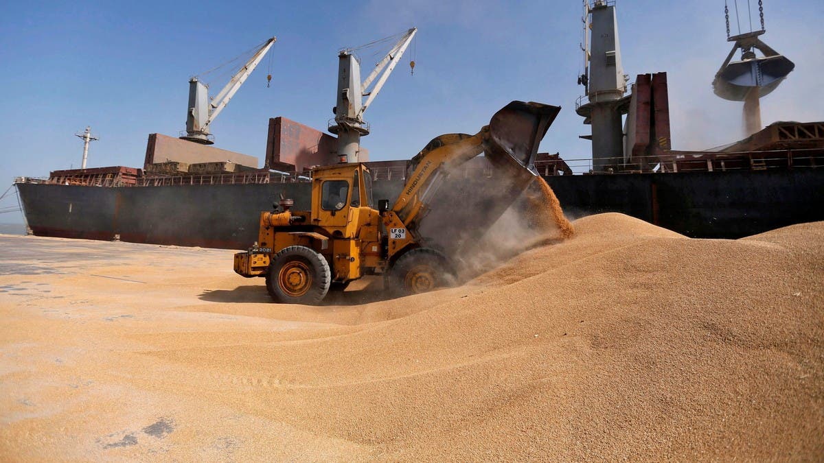 أسعار القمح تسجل أعلى مستوى في تاريخها بعد حظر الهند لصادراتها