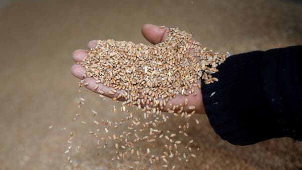 تونس تتلقى عروضا في مناقصات دولية لشراء القمح اللين والصلد