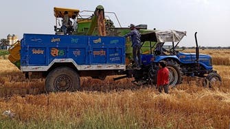 India considers restricting wheat exports as severe heat destroys crops