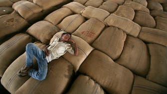 الهند تطالب بحل دائم لسياسات تخزين الغذاء في العالم