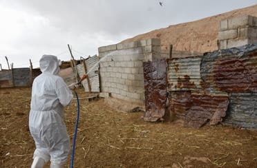 Sterilization of livestock farms in Kirkuk to prevent the spread of hemorrhagic fever