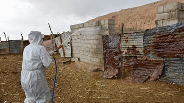 A member of a veterinary team sprays a farm's cattle and enclosures with disinfectant in Iraq's northern city of Kirkuk, on May 7, 2022, a day after registering the first death of Crimean-Congo haemorrhagic fever as cases of the virus spread to the country's north. Iraq has registered eight deaths from 40 cases of the illness, also known as Congo fever, since the start of the year, a health ministry spokesman said. The disease is tick-borne and causes severe haemorrhaging, according to the World Health Organization. (Photo by Shwan NAWZAD / AFP)