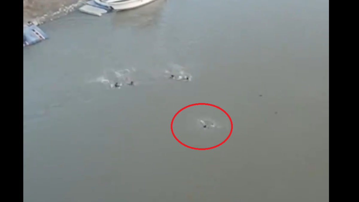 شاهد.. إنقاذ فتاة حاولت الانتحار من أعلى جسر في بغداد