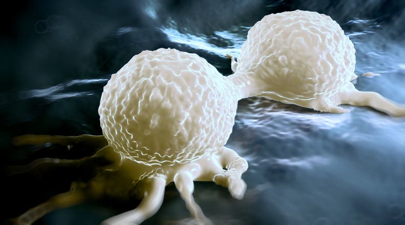 Cancer cells (iStock)