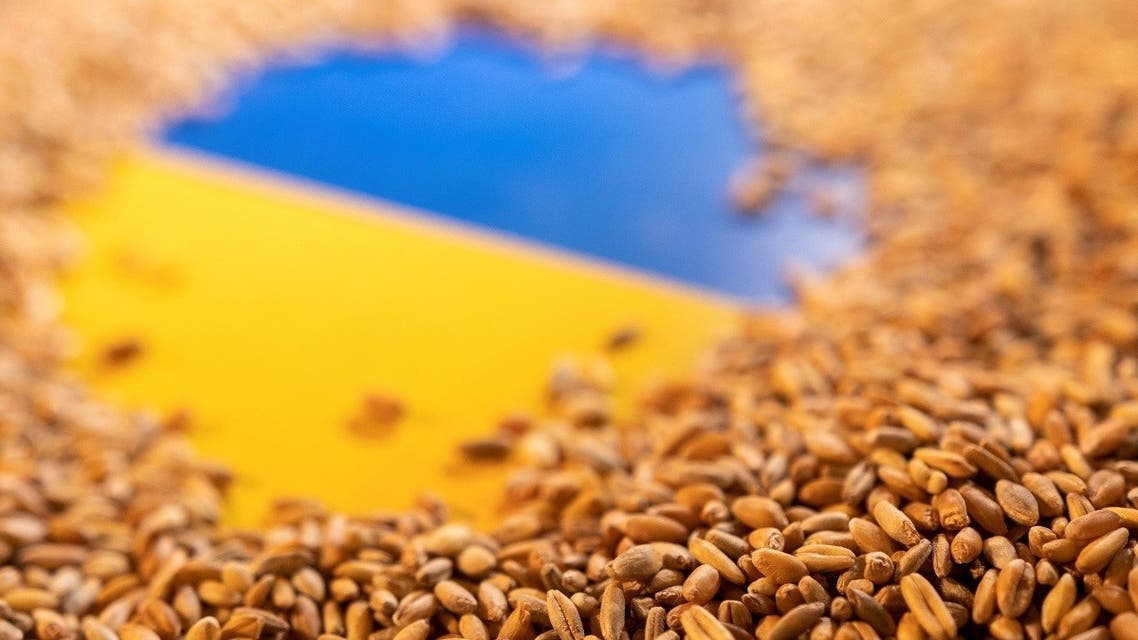 Ukrainian flag is covered with grains in this picture illustration. (Reuters)