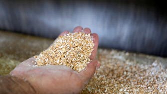 مصر: قرار الهند حظر صادرات القمح لا يسري علينا