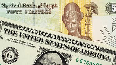 الجنيه المصري والدولار