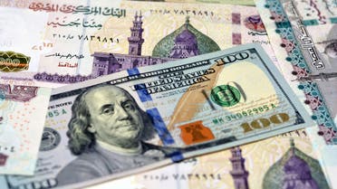 الدولار الجنيه المصري مناسبة 