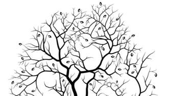 هل تستطيع تحديد عدد الأرانب بهذه الشجرة؟