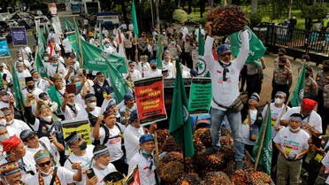 Indonesian palm oil farmers take part in a protest demanding the government to end the palm oil export ban, outside the Coordinating Ministry of Economic Affairs office, in Jakarta, Indonesia May 17, 2022. (Reuters)
