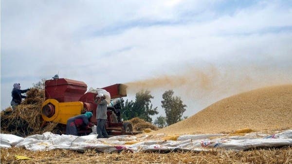 مشتريات مصر من القمح المحلي تصل 2.7 مليون طن