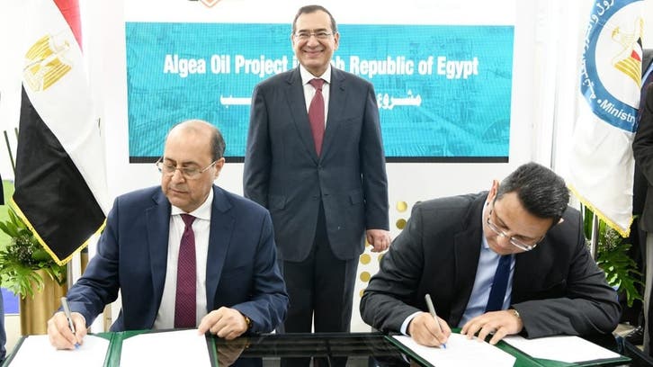 اتفاق مصري إماراتي لإنتاج زيت الطحالب المستخدم في وقود الطائرات