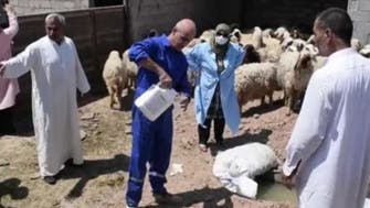 عراق میں خونی بخار سے18 اموات، مریضوں کی تعداد 96 ہو گئی