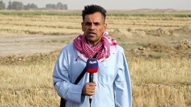 لماذا تقلص السلطات العراقية زراعة 