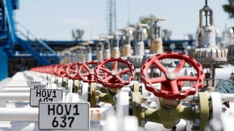 Serbia to store gas at Hungarian sites ahead of winter