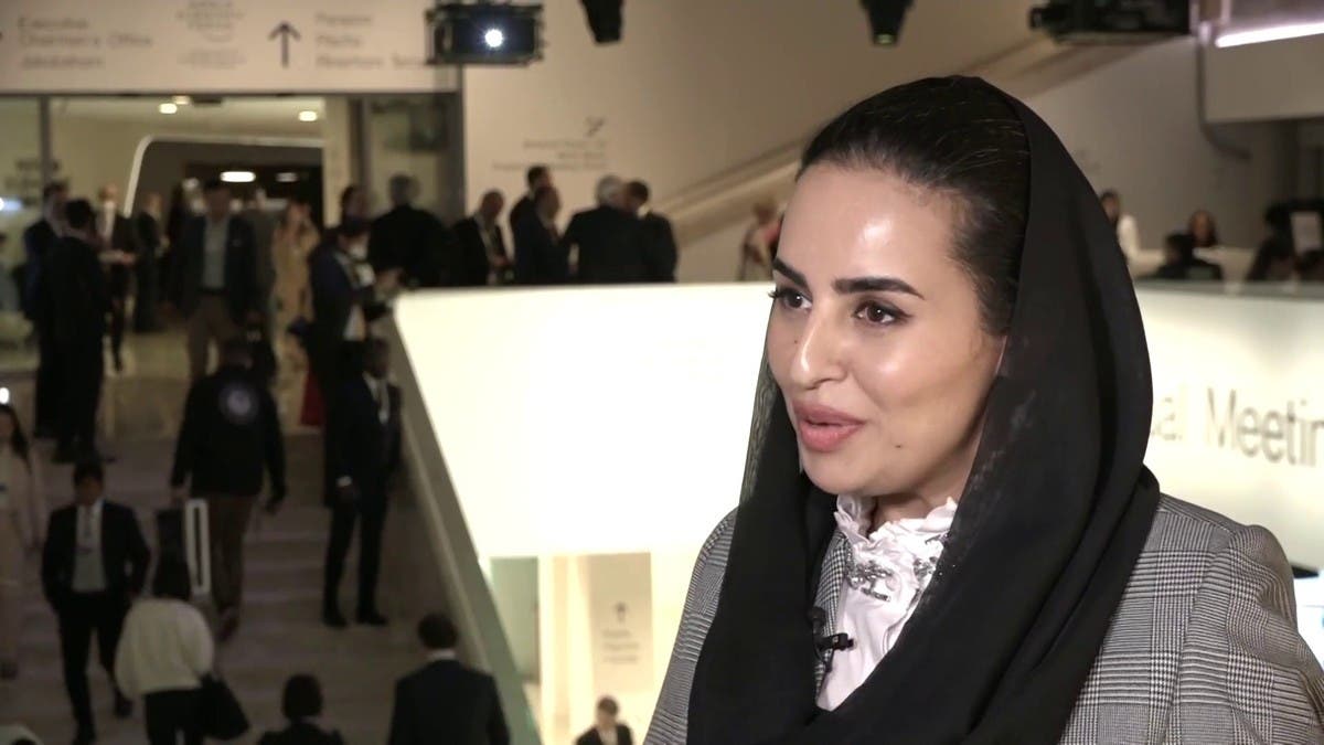 "التعاون الرقمي" للعربية: 20 شركة عالمية انضمت إلينا ونهدف لربط الحكومات بـ"الخاص"