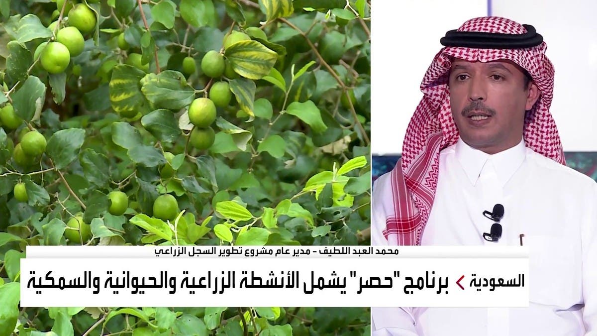 نشرة الرابعة | السعودية.. إلزامية السجل الزراعي المطور وخطط لإنتاج القمح