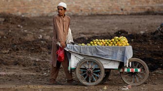 Pakistan’s mango production to fall by 50 percent due to heatwave, water shortage