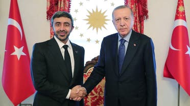 UAE’s Foreign Minister Sheikh Abdullah bin Zayed meets with Turkey’s President Recep Tayyip Erdogan in Istanbul. (WAM)