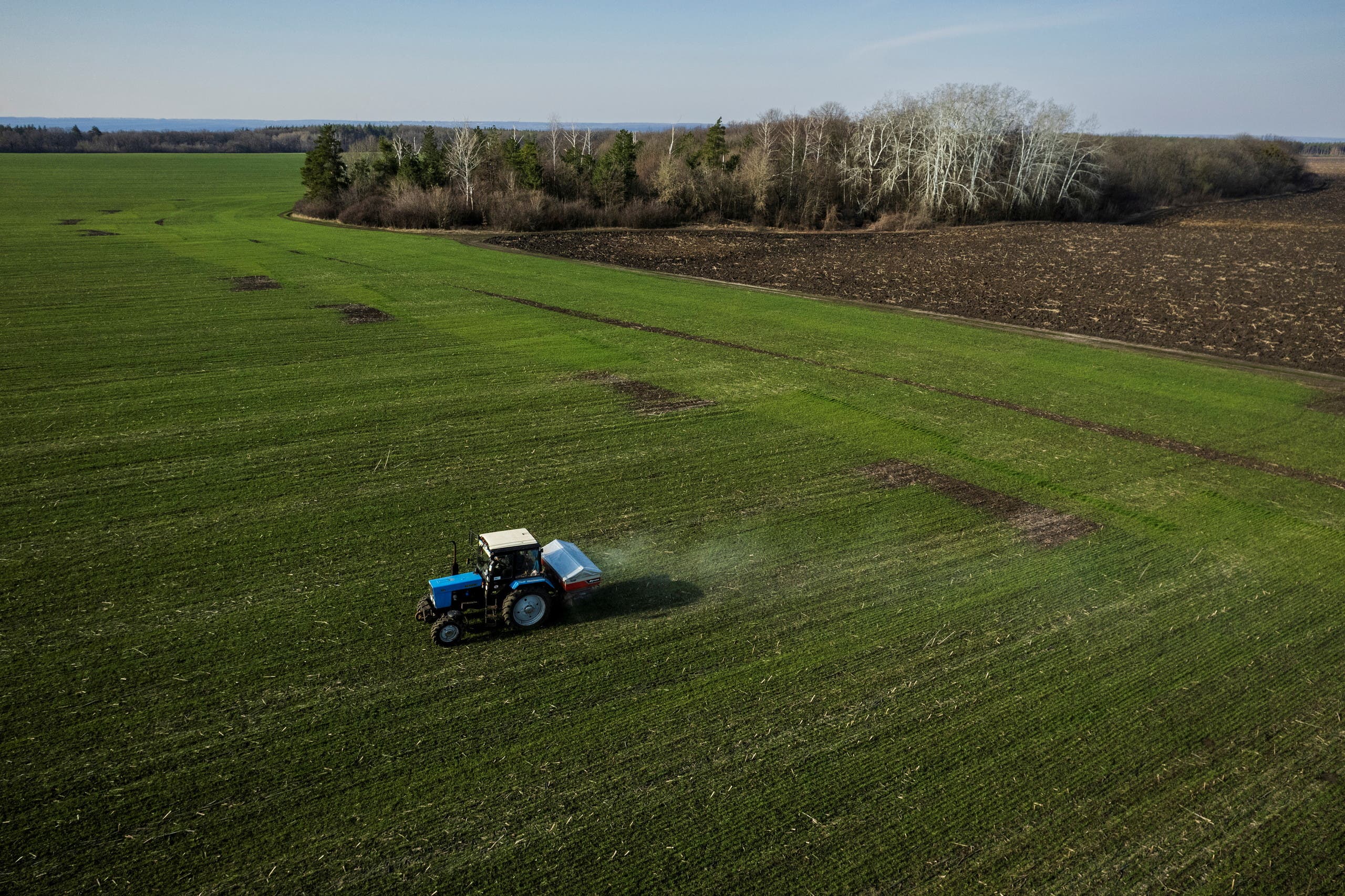 Wheat fields in Ukraine - Reuters
